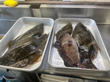 飯岡の釣船でヒラメ釣り！