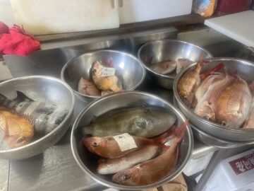 飯岡港　霜月の釣！