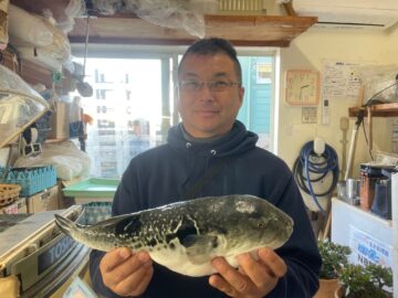 銚子犬若の三浦丸！トラフグ釣り！