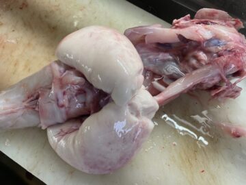 海の宝石と呼ばれる「とらふぐの白子」！