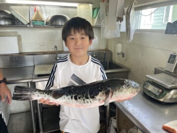飯岡港幸丸乗船の牧さん！トラフグ！