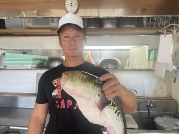 10月18日飯岡港トラフグ釣り！