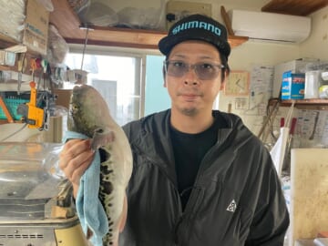 飯岡港幸丸！秋のとらふぐ釣り！