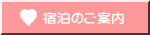 �h���̂��ē�